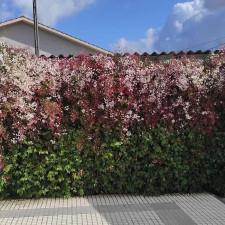 펜션 Casinha Do Mar Carvide