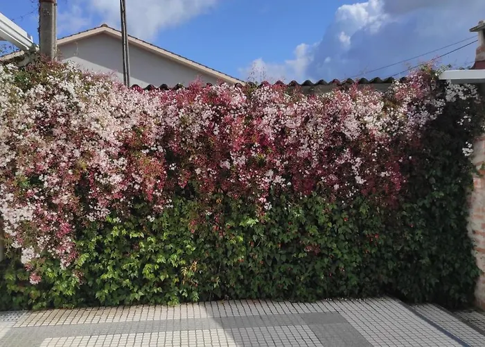 Casa de Férias Casinha Do Mar Carvide